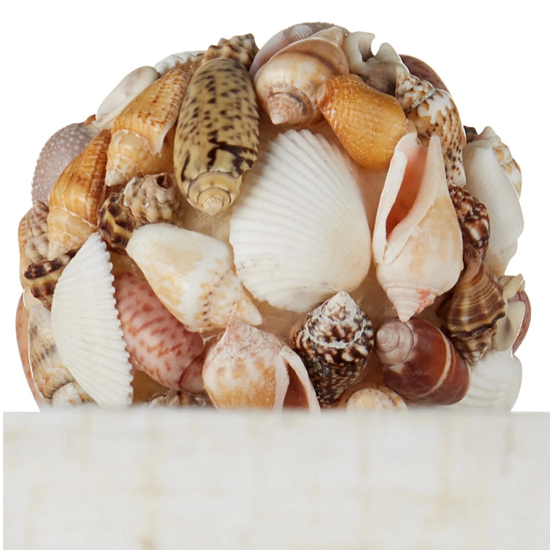 Handcrafted Seashell Swirl Terracotta Table Lamp