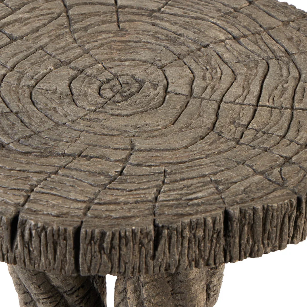 Rustic Tree-Inspired Accent Table