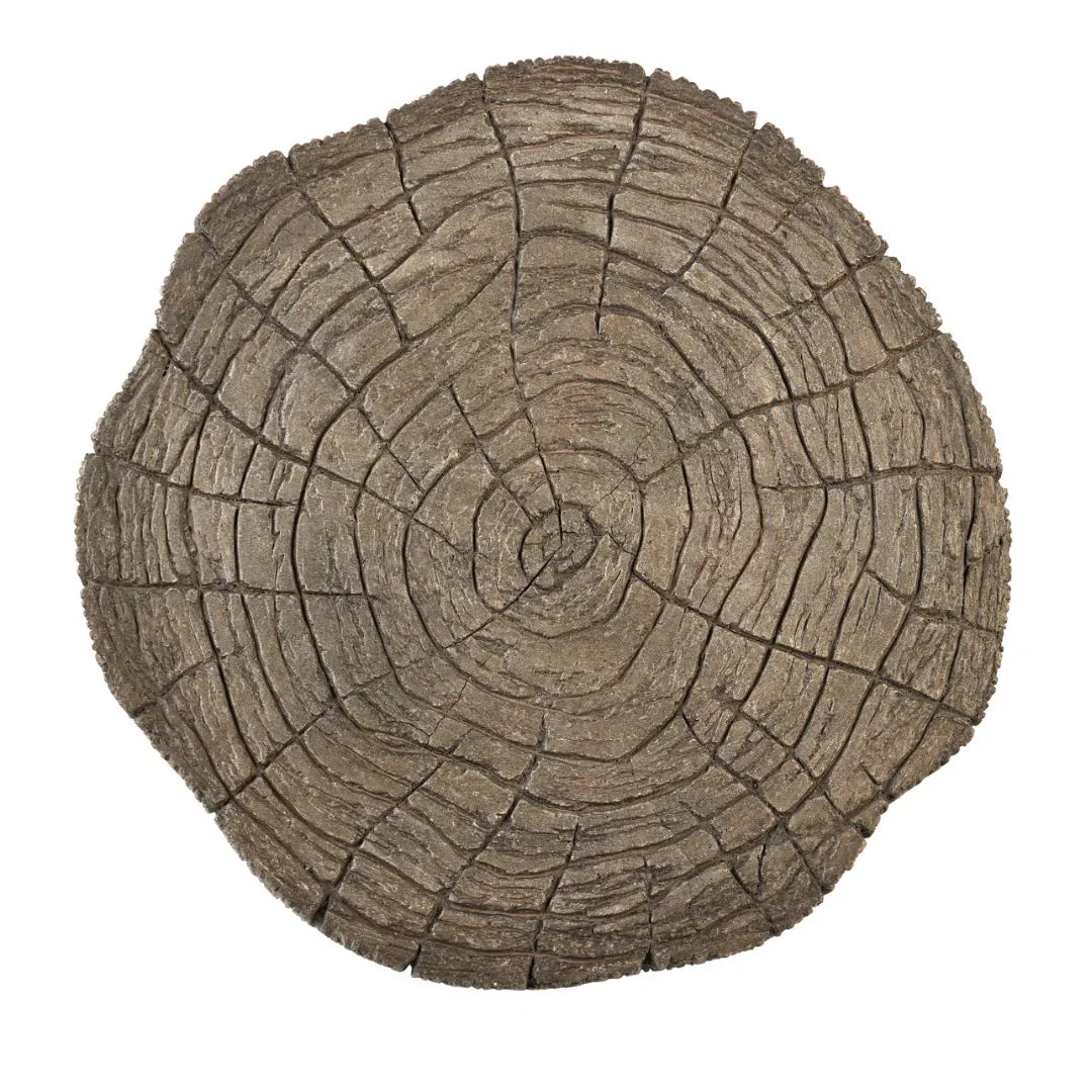 Rustic Tree-Inspired Accent Table