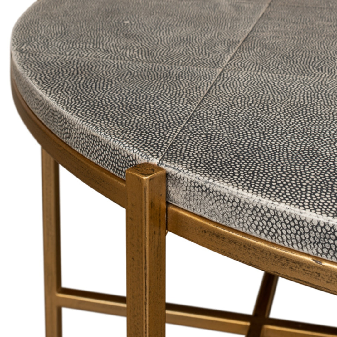 Stingray Shagreen Top Brass Coffee Table