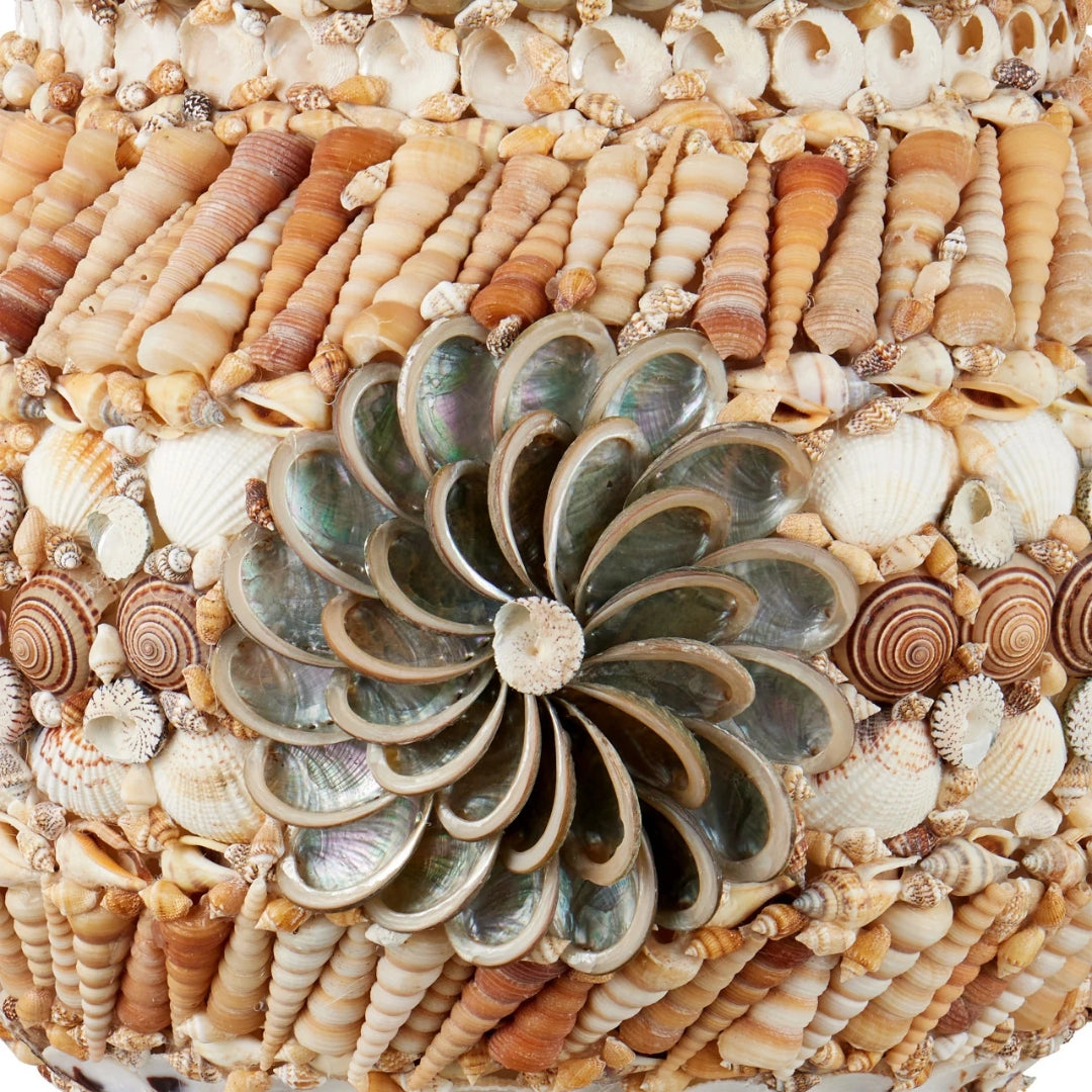 Handcrafted Seashell Swirl Terracotta Table Lamp