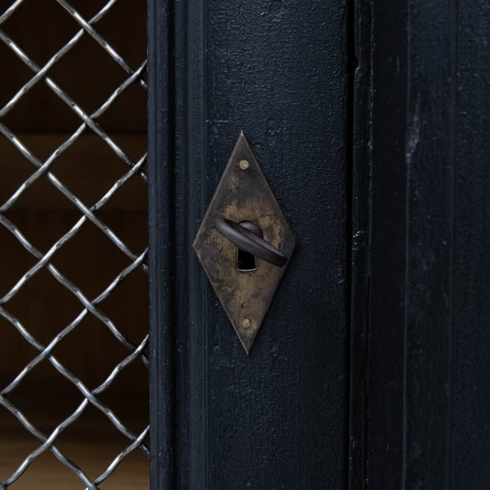 Estee Noir French Chicken Wire Door Cabinet, Circa 1900